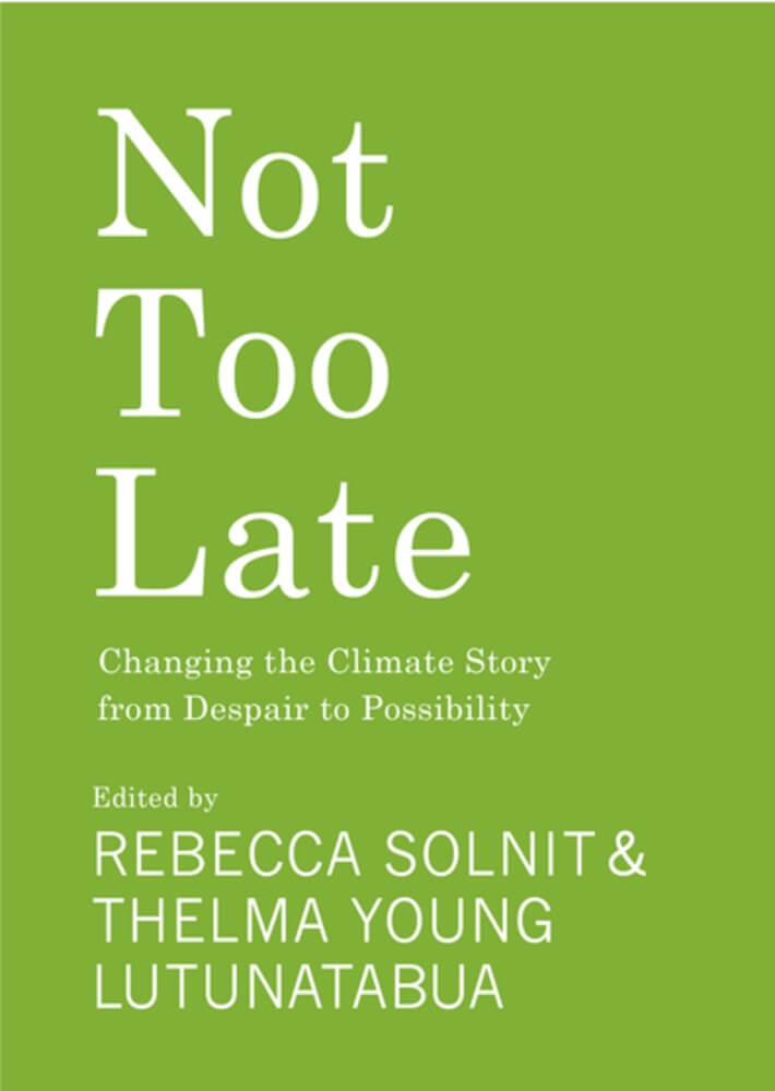 The cover for 'Not Too Late'